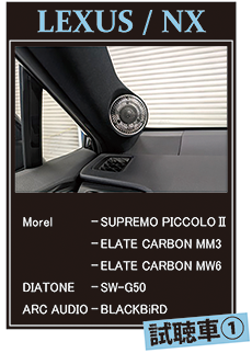 試聴車①　LEXUS NX